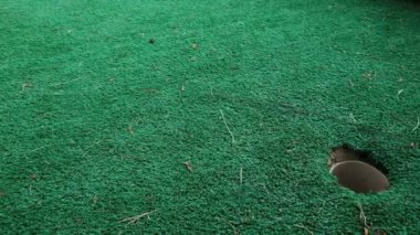Almost there, don't stop before you achieve a goal. So close to winning, last failure on the road to success. Mini golf on green lawn outside, missed shot, another mistake before succeeding in life.