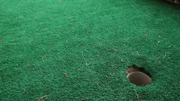 Közel Győzelem Utolsó Kudarc Siker Felé Vezető Úton Mini Golf — Stock videók