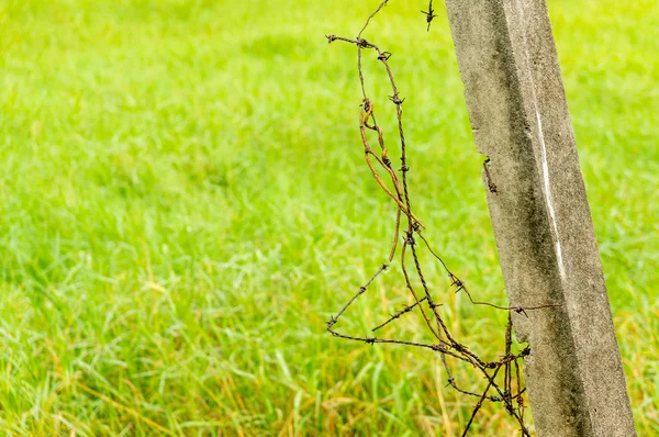 Arame farpado velho com pilla de concreto — Fotografia de Stock