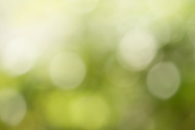 Soyut doğa arkaplanı