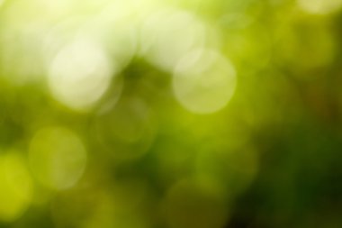 Soyut doğa arkaplanı