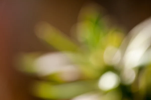 Soyut renkli arkaplan