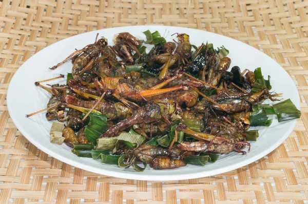 ilaç arka planlı çıtır çıtır kızarmış böcekler