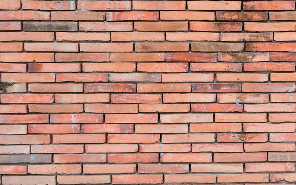 Background of old vintage brick wal — Stock Photo, Image