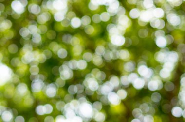 Yeşil bokeh defocus ağaçlardan abtracts arka plan sanat