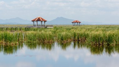 Görünüm Sam ROI Yod Milli Park Prachuap Khiri Khan il