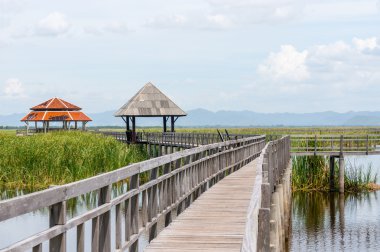 Görünüm Sam ROI Yod Milli Park Prachuap Khiri Khan il