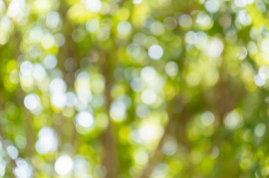 Yeşil bokeh defocus ağaçlardan abtracts arka plan sanat