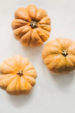 Parlak turuncu balkabaklarıyla çok az canlı bir daire. Sonbahar hasadı. Cadılar Bayramı. Ev yapımı turta ya da püre çorbası için sağlıklı bir malzeme. Beyaz arka planda üst manzara..