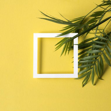 2021 yılının renginde, ışık saçan sarıda, çerçevesi ve egzotik yaprakları olan minimum düz bir yer. Hippi kompozisyonu. Banner şablonu. Yaz tatili, seyahat konsepti. Modern görsel kaynak. Boşluğu kopyala.