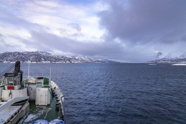 Norveç kıyısı boyunca bir yolcu gemisinde yolculuk. 