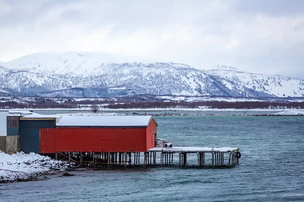 ノルウェー ノルウェーのノルトランド郡のAndoy市にあるRisoyhamn村 — ストック写真