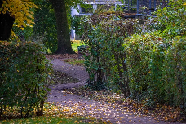 Weg Herbstpark Mit Abgefallenem Laub — Stockfoto