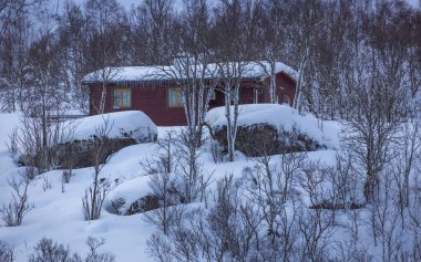 Kuzey Norveç 'te Finnsnes kıyısında harika bir yerde evler.