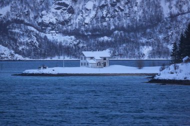 Kuzey Norveç 'te Finnsnes kıyısında harika bir yerde evler.