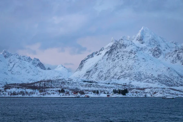 Norveç Denizi Ndeki Kıyı Şeridi Boyunca Karlı Dağlar — Stok fotoğraf