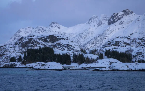 Montagnes Enneigées Long Littoral Mer Norvège — Photo