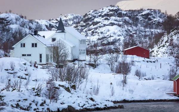Maisons Endroit Merveilleux Sur Côte Près Finnsnes Norvège Nord — Photo