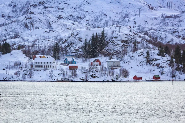 Maisons Endroit Merveilleux Sur Côte Près Finnsnes Norvège Nord — Photo