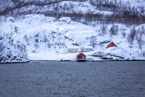 Maisons Endroit Merveilleux Sur Côte Près Finnsnes Norvège Nord — Photo