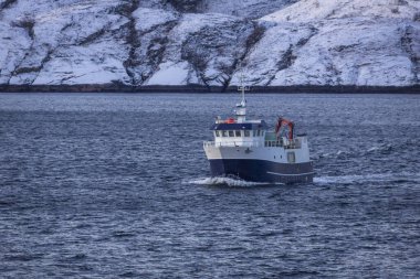 Norveç 'teki görkemli kutup dairesine gidin.