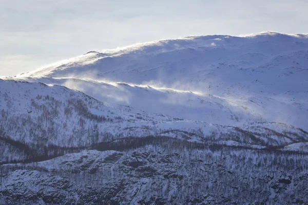 Wspaniałe Ptaki Góry Pobliżu Sandnessjoen Norwegii — Zdjęcie stockowe