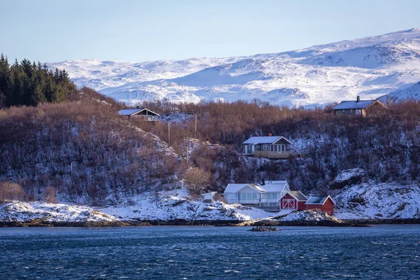 Underbara Hus Längs Kusten Nära Sandnessjoen Norge — Stockfoto