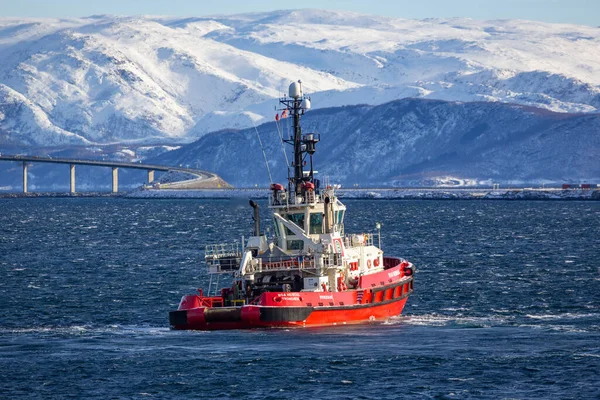 Haven Stad Met Veerboten Schepen Schepen Sandnessjoen Noorwegen — Stockfoto