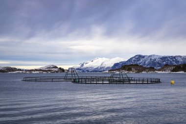 Fish farm in Bronnoysund town, Norway