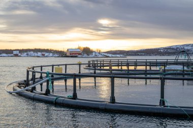Fish farm in Bronnoysund town, Norway
