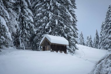 Karlı kış ormanlarında ahşap kulübe