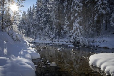Karla kaplı ağaçlar ve nehirlerle kaplı güzel kış manzarası