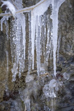 Karlı kış ormanlarında kayalıklardaki buz saçakları