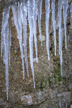 Karlı kış ormanlarında kayalıklardaki buz saçakları