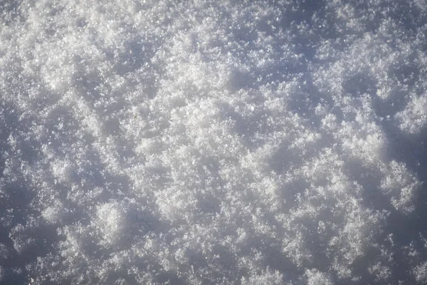 Beyaz karlı kış arkaplanı