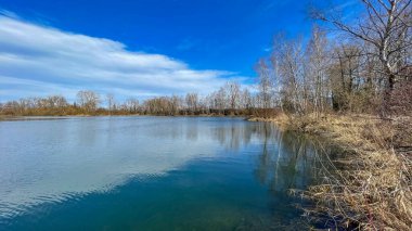 İlkbaharın başlarında nehir ve ormanın güzel manzarası