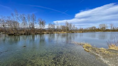 İlkbaharın başlarında nehir ve ormanın güzel manzarası