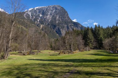 Güneşli bir günde güzel Alpler dağları manzarası