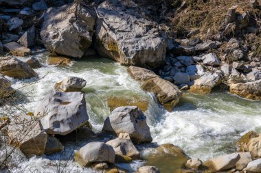 Alplerdeki güzel dağ nehri