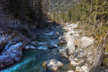 Alplerdeki güzel dağ nehri