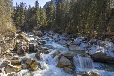 Alplerdeki güzel dağ nehri
