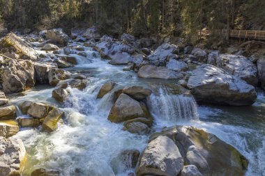 Alplerdeki güzel dağ nehri
