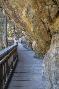 Tahta yol ve Alplerdeki dağ nehri üzerinde köprü.