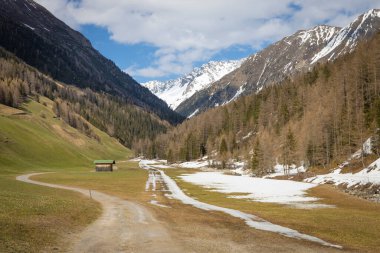 İlkbahar zamanı Alp dağlarının güzel manzarası 