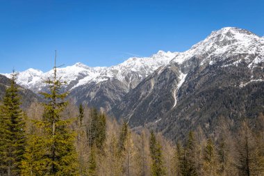 Alp dağlarının güzel manzarası