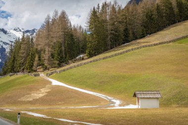 İlkbahar zamanı Alp dağlarının güzel manzarası