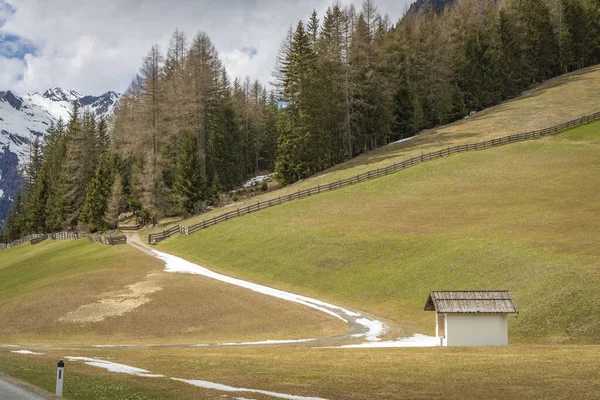 İlkbahar zamanı Alp dağlarının güzel manzarası