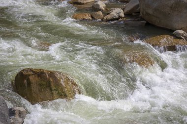 Alplerde taşlı hızlı dağ nehri