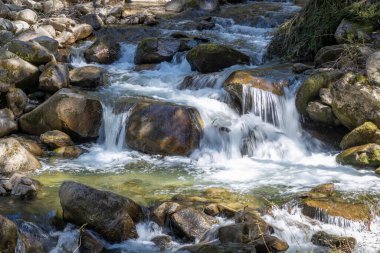 Umhausen 'deki Stuibenfall yakınlarındaki ormanda güzel bir şelale.