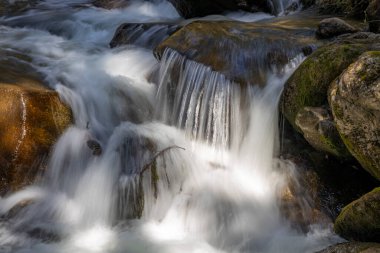 Umhausen 'deki Stuibenfall yakınlarındaki ormanda güzel bir şelale.